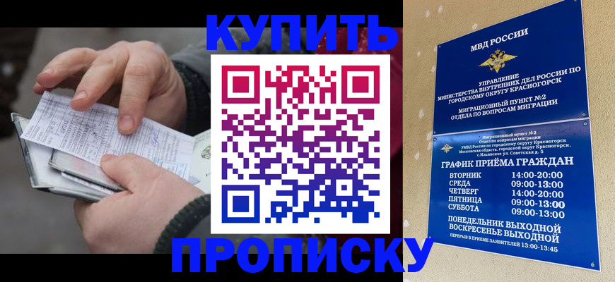 временная регистрация недорого в Наволоках